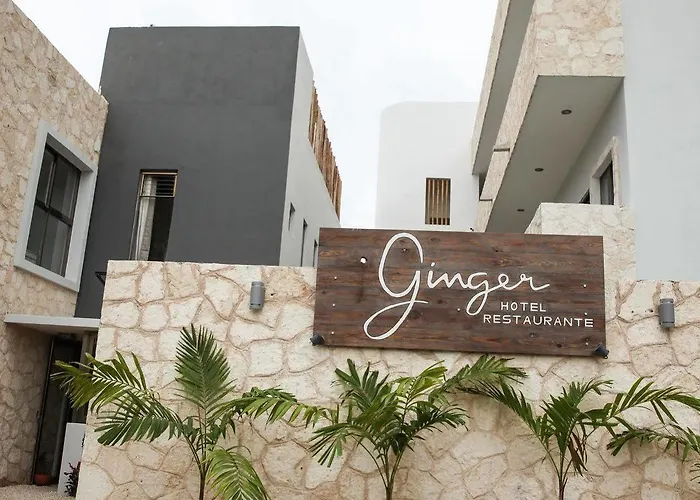 Ginger Tulum